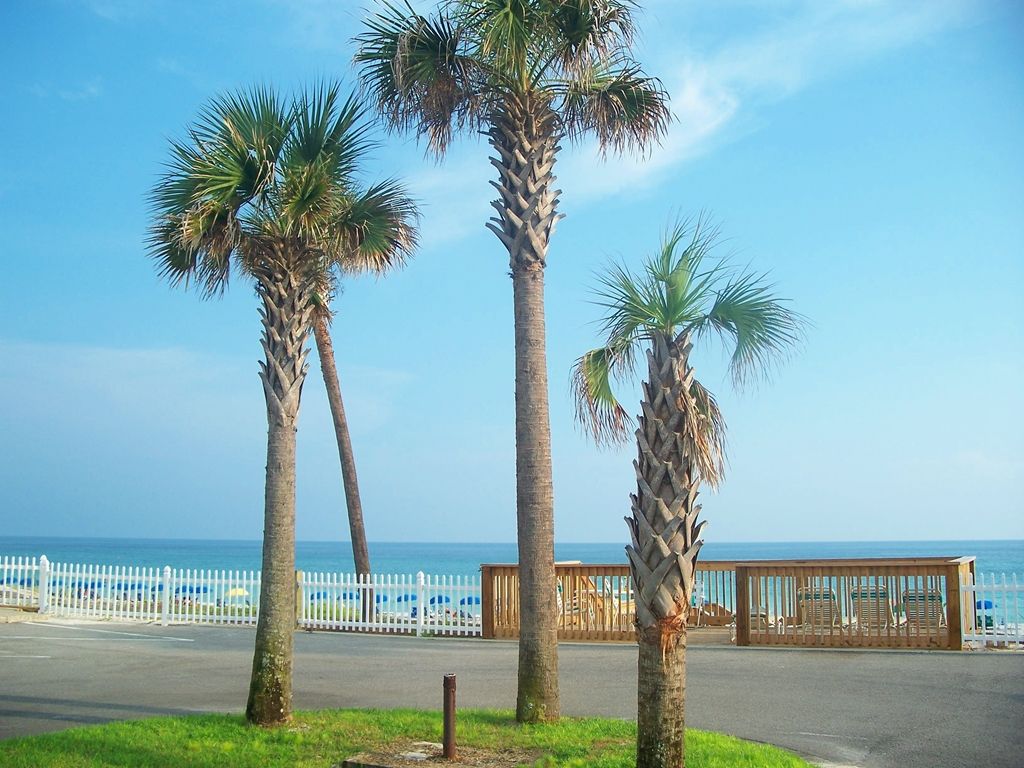 דירות מיראמר ביץ' Gulf Winds East מראה חיצוני תמונה